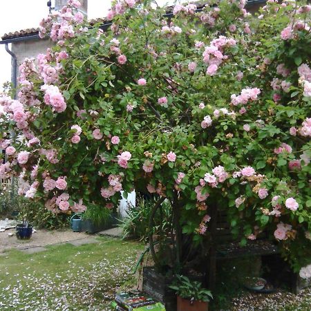 Chabournay La Rosaliere Bed & Breakfast エクステリア 写真