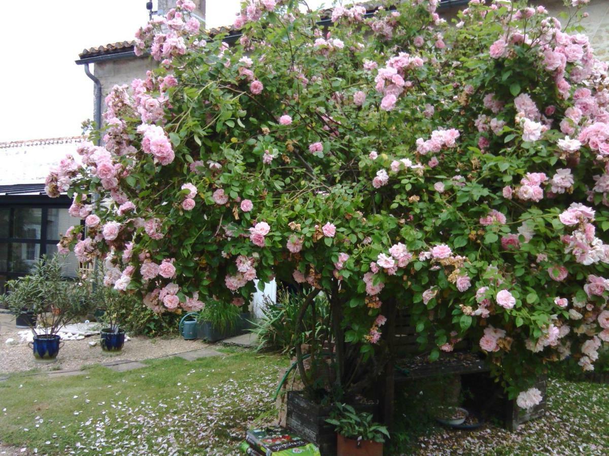 Chabournay La Rosaliere Bed & Breakfast エクステリア 写真
